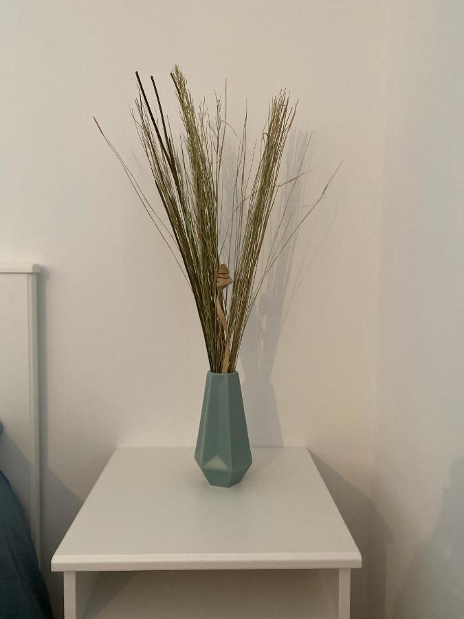 Studio Saint Cyprien Plage Dış mekan fotoğraf